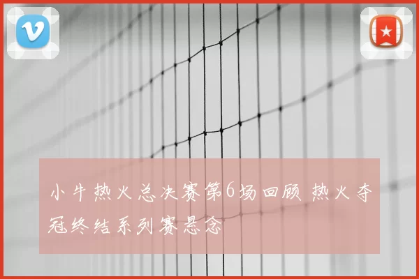 小牛热火总决赛第6场回顾 热火夺冠终结系列赛悬念