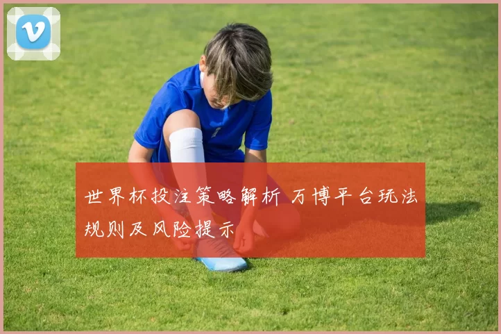 世界杯投注策略解析 万博平台玩法规则及风险提示