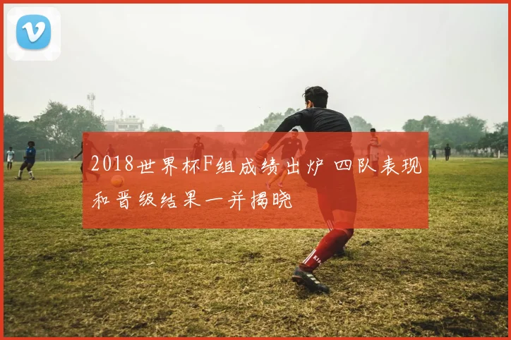 2018世界杯F组成绩出炉 四队表现和晋级结果一并揭晓